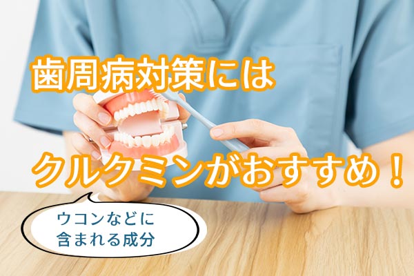歯周病対策にクルクミン