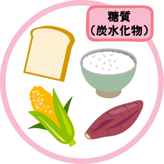 糖質を多く含む食材：お米・パン・麺・イモ類・砂糖・はちみつ・果物
