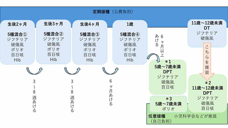 ワクチンの接種スケジュール