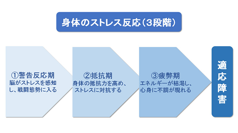 身体のストレス反応